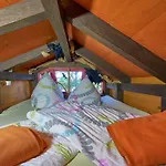 캠프장 Baumhaushotel - Geheime Welt Von Turisede - Kulturinsel Einsiedel *