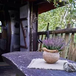 Baumhaushotel - Geheime Welt Von Turisede - Kulturinsel Einsiedel * Zentendorf