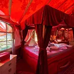 Baumhaushotel - Geheime Welt Von Turisede - Kulturinsel Einsiedel Zentendorf
