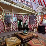 Baumhaushotel - Geheime Welt Von Turisede - Kulturinsel Einsiedel * Zentendorf