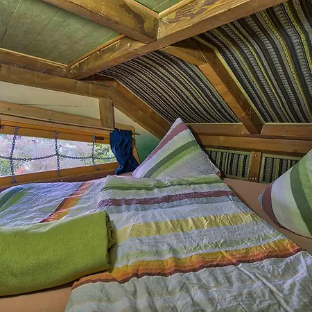 Baumhaushotel - Geheime Welt Von Turisede - Kulturinsel Einsiedel *
